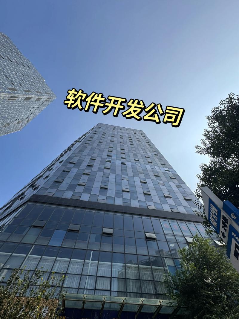 深圳软件开发：产业升级的加速引擎